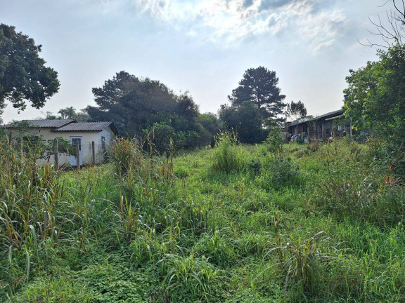 Imagem Terreno à Venda, 850 m² em Fiuza - Viamão