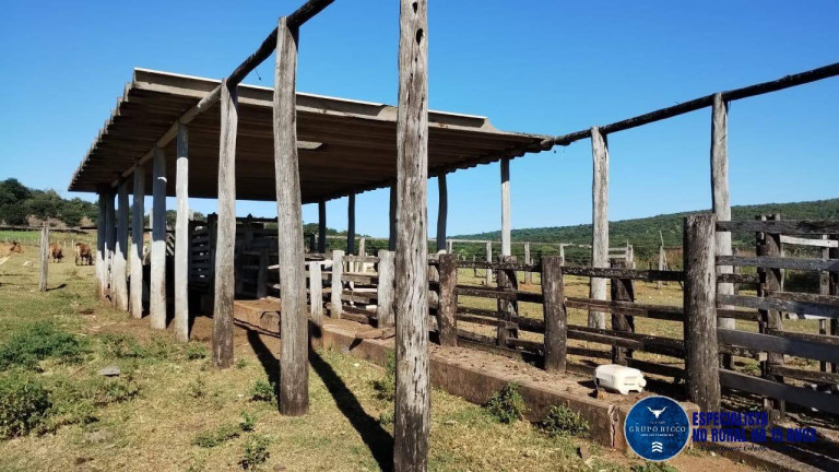 Imagem Fazenda à Venda, 92 m² em Zona Rural - Jaupaci Imagem Fazenda à Venda, 92 m² em Zona Rural - Jaupaci