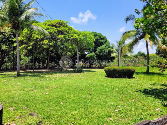 Imagem Terreno em Condomínio à Venda, 360 m² em Cotovelo (distrito Litoral) - Parnamirim Imagem Terreno em Condomínio à Venda, 360 m² em Cotovelo (distrito Litoral) - Parnamirim