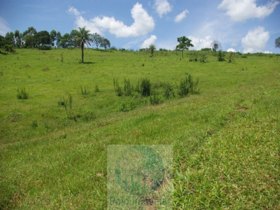 Imagem Imóvel com 4 Quartos à Venda, 1.694.000 m² em Zona Rural - Jacui Imagem Imóvel com 4 Quartos à Venda, 1.694.000 m² em Zona Rural - Jacui
