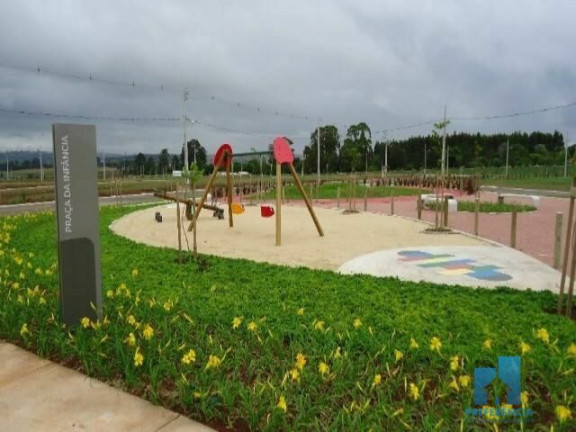 Imagem Terreno à Venda, 320 m² em Jardim Carvalho - Ponta Grossa Imagem Terreno à Venda, 320 m² em Jardim Carvalho - Ponta Grossa