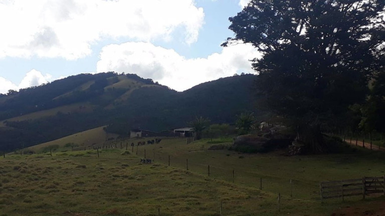Imagem Fazenda à Venda, 100 m² em Centro - Aiuruoca Imagem Fazenda à Venda, 100 m² em Centro - Aiuruoca