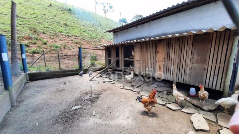 Imagem Chácara com 1 Quarto à Venda, 90 m² em Centro - Paraibuna Imagem Chácara com 1 Quarto à Venda, 90 m² em Centro - Paraibuna