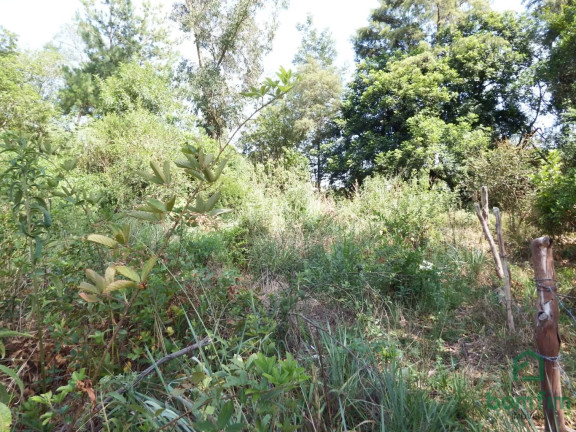 Imagem Terreno à Venda, 744 m² em Centro - Eldorado Do Sul Imagem Terreno à Venda, 744 m² em Centro - Eldorado Do Sul