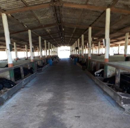 Imagem Imóvel com 8 Quartos à Venda, 87 m² em Itapetininga - Itapetininga Imagem Imóvel com 8 Quartos à Venda, 87 m² em Itapetininga - Itapetininga