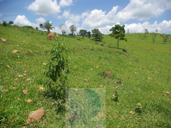 Imagem Imóvel com 4 Quartos à Venda, 1.694.000 m² em Zona Rural - Jacui Imagem Imóvel com 4 Quartos à Venda, 1.694.000 m² em Zona Rural - Jacui