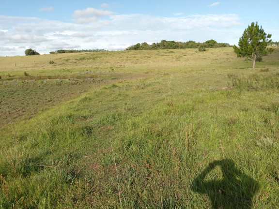 Chácara à Venda, 60.000 m² em Capão Da Porteira - Viamão