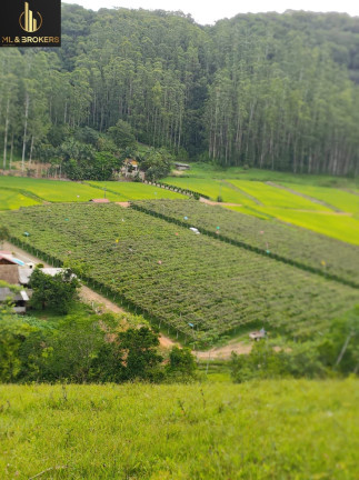 Imóvel com 3 Quartos à Venda, 220 m² em Zona Rural - Ascurra