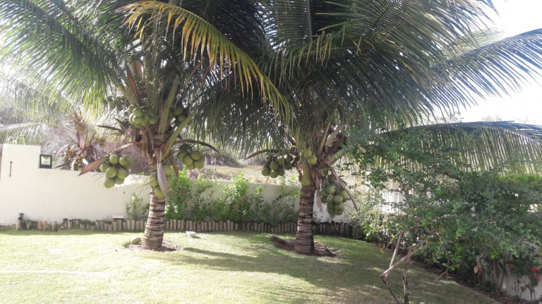 Imagem Casa com 5 Quartos à Venda, 350 m² em Barra Do Jacuípe - Camaçari Imagem Casa com 5 Quartos à Venda, 350 m² em Barra Do Jacuípe - Camaçari