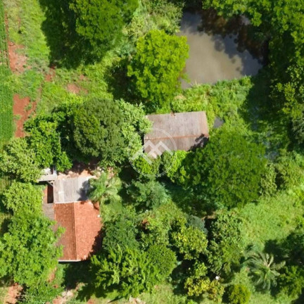Imagem Fazenda à Venda, em Linha Do Cerne - Sertanópolis Imagem Fazenda à Venda, em Linha Do Cerne - Sertanópolis