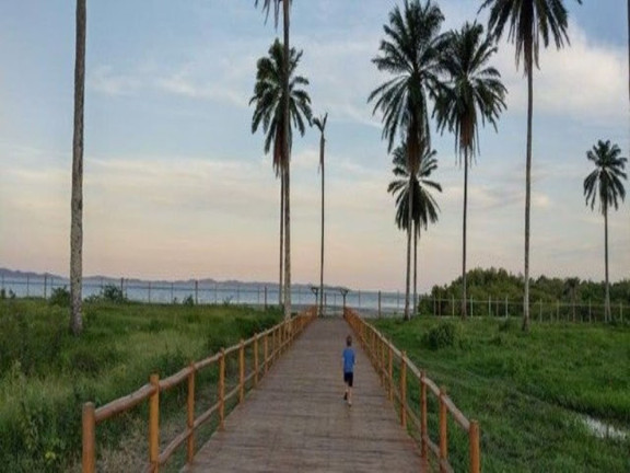 Imagem Terreno à Venda, 464 m² em Acupe - Santo Amaro Imagem Terreno à Venda, 464 m² em Acupe - Santo Amaro
