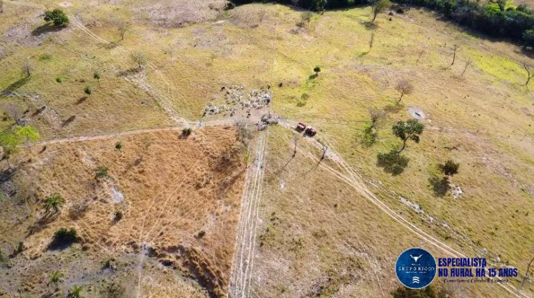 Imagem Fazenda à Venda, 72 m² em Zona Rural - Morro Agudo De Goiás Imagem Fazenda à Venda, 72 m² em Zona Rural - Morro Agudo De Goiás