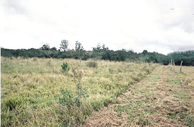 Imagem Fazenda à Venda, 30.000 m² em águas Claras - Viamão Imagem Fazenda à Venda, 30.000 m² em águas Claras - Viamão