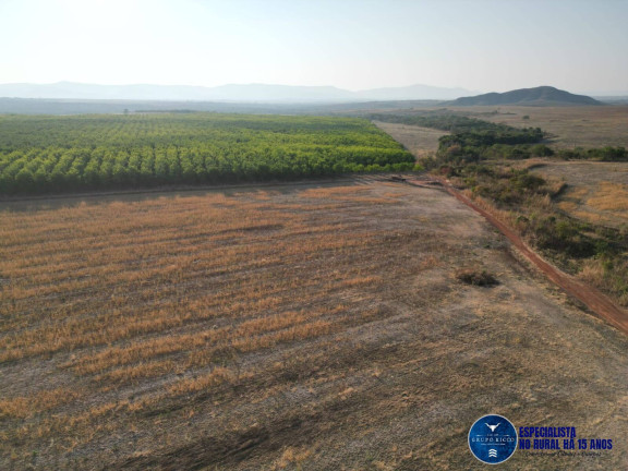 Imagem Fazenda à Venda, 113 m² em Zona Rural - Niquelândia Imagem Fazenda à Venda, 113 m² em Zona Rural - Niquelândia