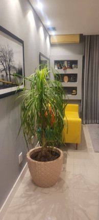 Imagem Apartamento com 1 Quarto à Venda, 77 m² em Aparecida - Santos Imagem Apartamento com 1 Quarto à Venda, 77 m² em Aparecida - Santos