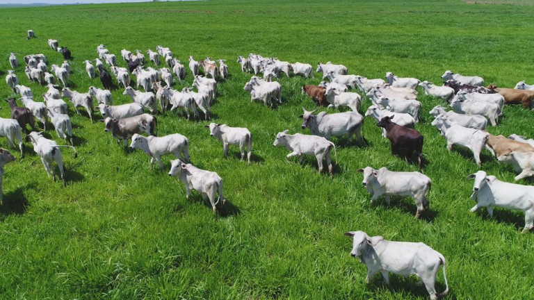 Imagem Fazenda à Venda, 632 m² em Rural - Echaporã