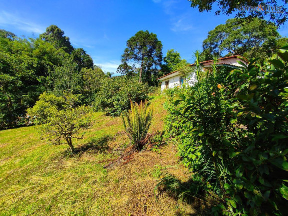 Imagem Imóvel com 2 Quartos à Venda, 7.724 m² em Loteamento Chácara Chantecler - Piraquara Imagem Imóvel com 2 Quartos à Venda, 7.724 m² em Loteamento Chácara Chantecler - Piraquara