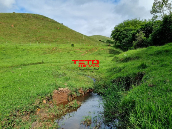 Imagem Imóvel à Venda, em Zona Rural - Pouso Alto Imagem Imóvel à Venda, em Zona Rural - Pouso Alto