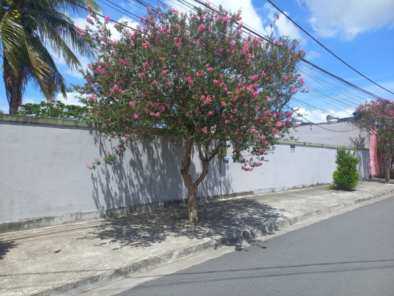 Imagem Terreno à Venda, 450 m² em Serra Grande - Niterói