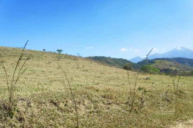 Imagem Fazenda à Venda, 530 m² em Centro - Cruzeiro Imagem Fazenda à Venda, 530 m² em Centro - Cruzeiro