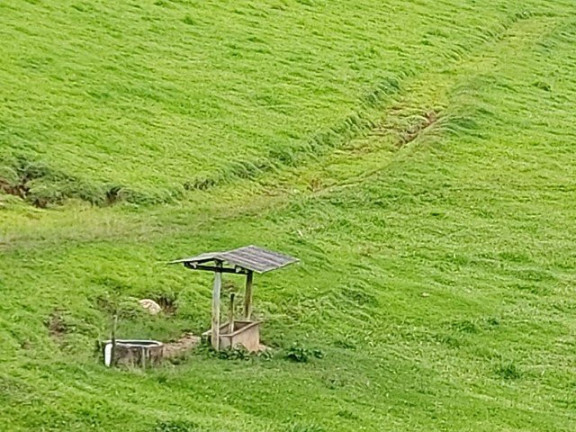 Imagem Fazenda à Venda, 1.000 m² em Campos De Cunha  - Cunha