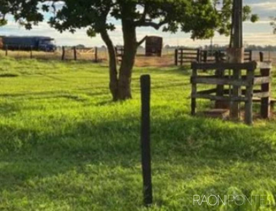 Imagem Fazenda à Venda, 2.032.800 m² em Zona Rural - Guaraci Imagem Fazenda à Venda, 2.032.800 m² em Zona Rural - Guaraci