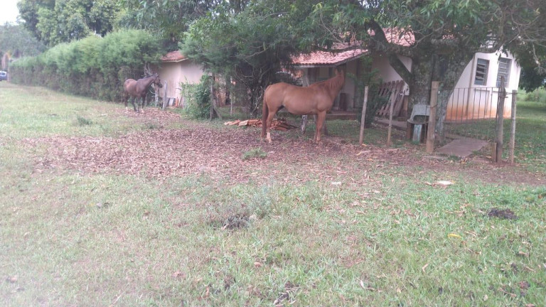 Imagem Fazenda à Venda, 42 m² em Rural - Avaré