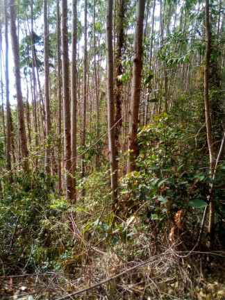 Imagem Terreno à Venda, 1 m² em Parque Santo Antônio - Jacareí Imagem Terreno à Venda, 1 m² em Parque Santo Antônio - Jacareí