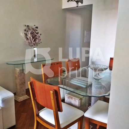 Imagem Apartamento com 3 Quartos à Venda, 60 m² em Vila Maria Alta - São Paulo Imagem Apartamento com 3 Quartos à Venda, 60 m² em Vila Maria Alta - São Paulo