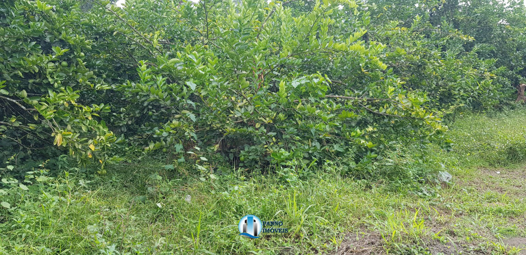 Imagem Imóvel com 2 Quartos à Venda, 100 m² em Capivari - Duque De Caxias