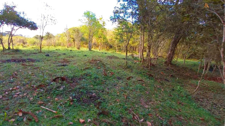 Imagem Chácara à Venda, 32.800 m² em Ambrósio - Tijucas Do Sul