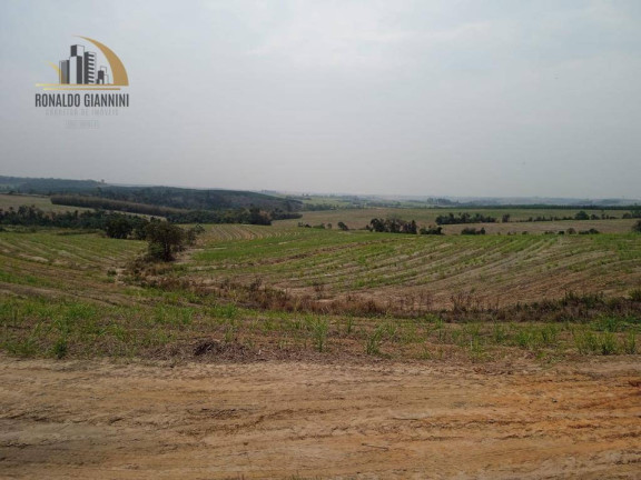 Imagem Fazenda à Venda, 968.000 m² em Zona Rural - Mombuca