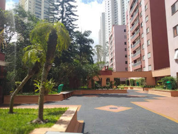Imagem Apartamento com 3 Quartos à Venda, 64 m² em Vila Sofia - São Paulo Imagem Apartamento com 3 Quartos à Venda, 64 m² em Vila Sofia - São Paulo