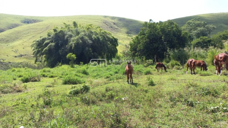Imagem Imóvel com 4 Quartos à Venda, 12.000 m² em Pedroso - Lorena Imagem Imóvel com 4 Quartos à Venda, 12.000 m² em Pedroso - Lorena