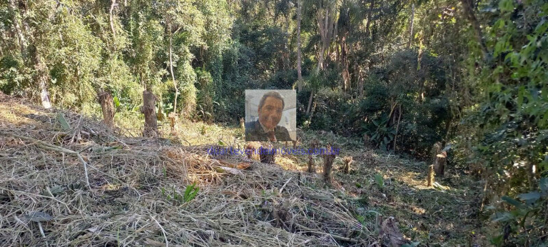 Imagem Terreno em Condomínio à Venda, 598 m² em Jardim Atalaia - Cotia Imagem Terreno em Condomínio à Venda, 598 m² em Jardim Atalaia - Cotia