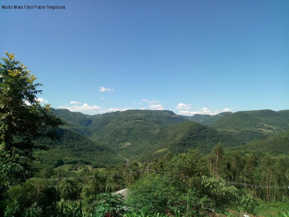 Imagem Imóvel com 2 Quartos à Venda, 60 m² em Linha Brasil - Nova Petrópolis Imagem Imóvel com 2 Quartos à Venda, 60 m² em Linha Brasil - Nova Petrópolis
