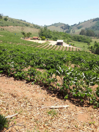 Imagem Fazenda à Venda, 26 m² em Naviraí Imagem Fazenda à Venda, 26 m² em Naviraí