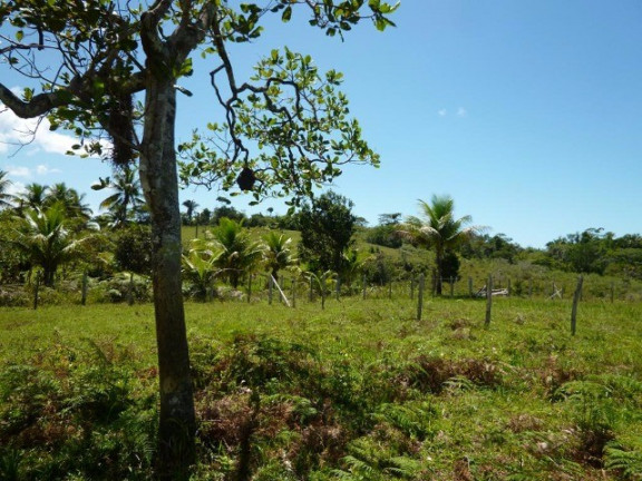 Imagem Imóvel à Venda, em Aderno - Ilhéus Imagem Imóvel à Venda, em Aderno - Ilhéus