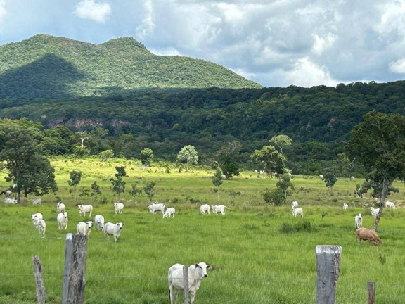Imagem Fazenda à Venda, 1 m² em Cuiabá Imagem Fazenda à Venda, 1 m² em Cuiabá