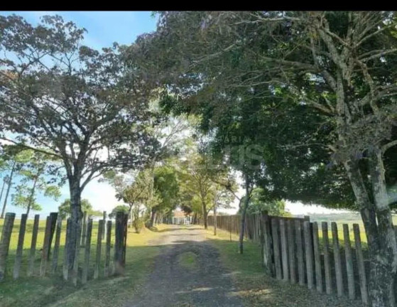 Imóvel à Venda,  em Morro Do Alto - Itapetininga