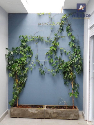 Imagem Casa com 3 Quartos à Venda, 180 m² em Parque Da Represa - Jundiaí