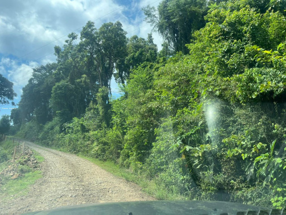 Imagem Terreno à Venda, 56.379 m² em Sc 155 - Itá Imagem Terreno à Venda, 56.379 m² em Sc 155 - Itá