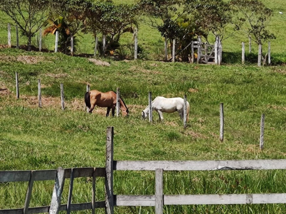 Imagem Chácara com 3 Quartos à Venda, 200 m² em Villa Branca - Jacareí Imagem Chácara com 3 Quartos à Venda, 200 m² em Villa Branca - Jacareí