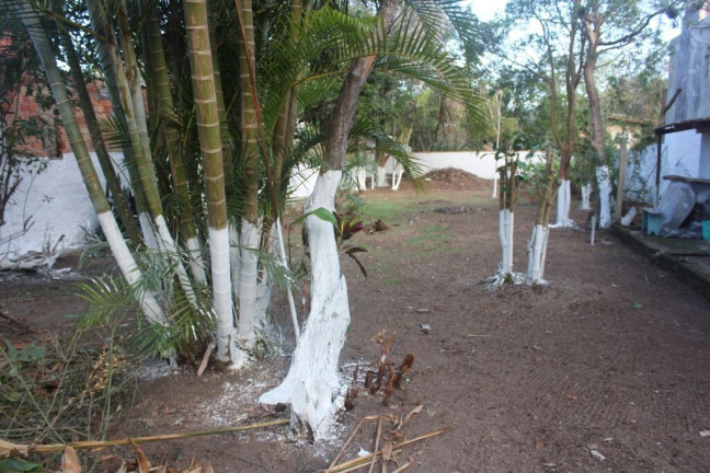 Imagem Terreno à Venda, 2.085 m² em Tapera - Florianópolis Imagem Terreno à Venda, 2.085 m² em Tapera - Florianópolis