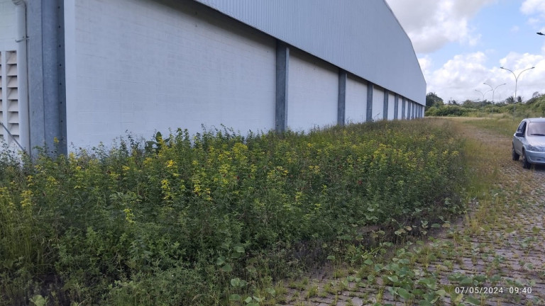 Imagem Imóvel para Alugar, 22.700 m² em Cidade Nova - Pacatuba Imagem Imóvel para Alugar, 22.700 m² em Cidade Nova - Pacatuba