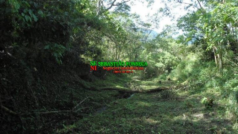 Imagem Chácara à Venda, 72.600 m² em São Francisco Xavier - São José Dos Campos Imagem Chácara à Venda, 72.600 m² em São Francisco Xavier - São José Dos Campos
