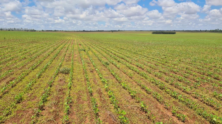 Imagem Imóvel à Venda, 9.680.000 m² em Rural - Bataguassu Imagem Imóvel à Venda, 9.680.000 m² em Rural - Bataguassu