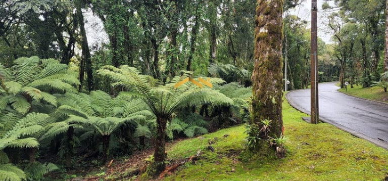 Imagem Terreno à Venda, 1.093 m² em Floresta - Gramado Imagem Terreno à Venda, 1.093 m² em Floresta - Gramado