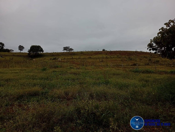 Imagem Fazenda à Venda, 33 m² em Zona Rural - Caiapônia Imagem Fazenda à Venda, 33 m² em Zona Rural - Caiapônia