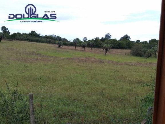 Imagem Casa com 2 Quartos à Venda, 800 m² em Viamão